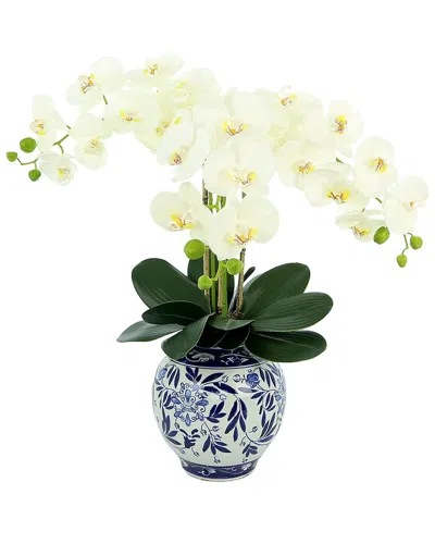 Creative Displays White Orchid Floral Arrangement In Multi