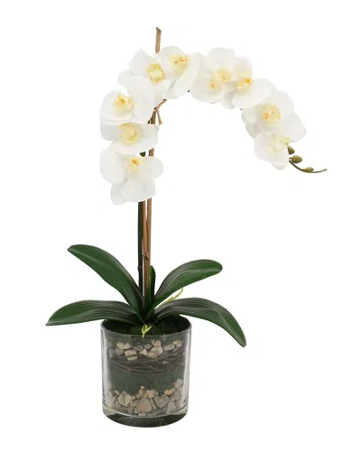 Creative Displays White Orchid Floral Arrangement In Multi