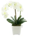 Creative Displays White Orchid Floral Arrangement In White
