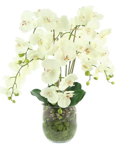 Creative Displays White Orchid Floral Arrangement
