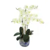 Creative Displays White Orchids Floral Arrangement