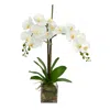 Creative Displays White Orchid Floral Arrangement