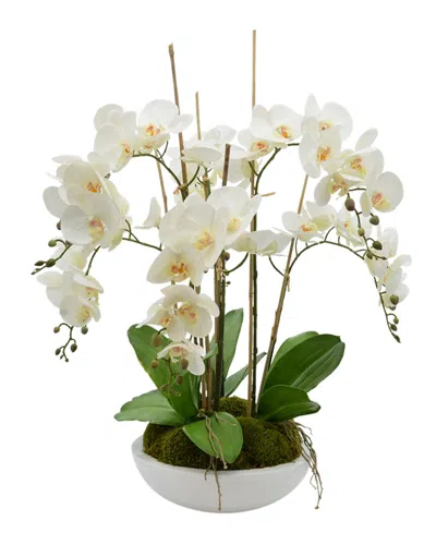 Creative Displays White Orchid Floral Arrangement