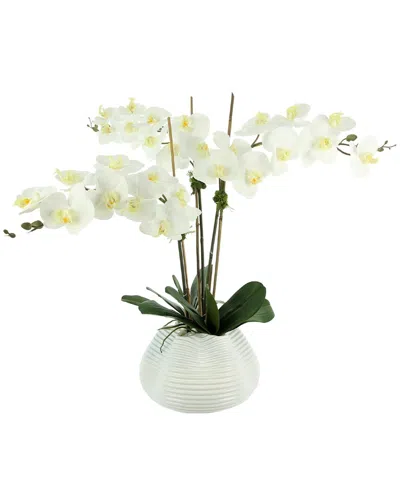 Creative Displays White Orchid Floral Arrangement In Multi