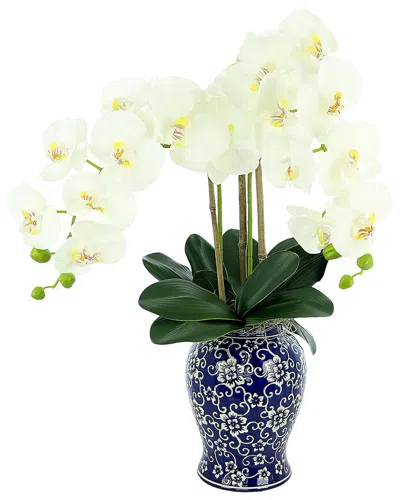 Creative Displays White Orchid Flower Arrangement In Blue