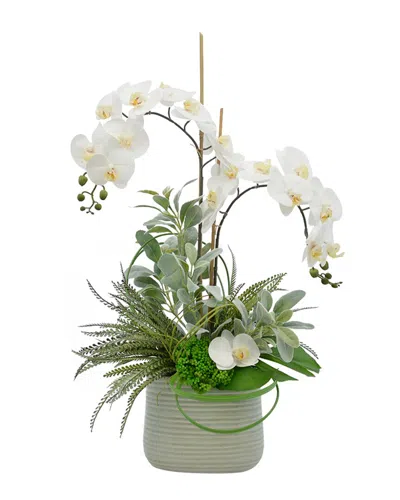Creative Displays White Orchid In Multi