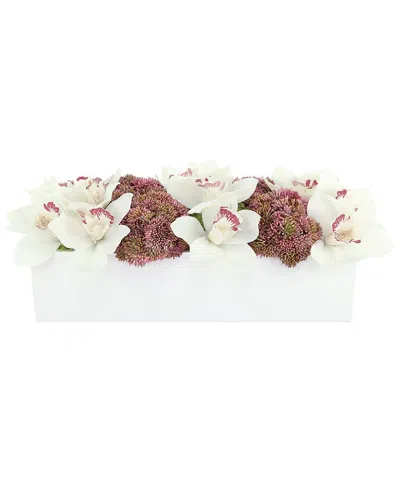 Creative Displays White Orchids & Pink Sedum Arranged In Modern Fiberstone  Planter