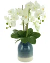 Creative Displays White Orchids Arranged In A Blue & White Vase In White