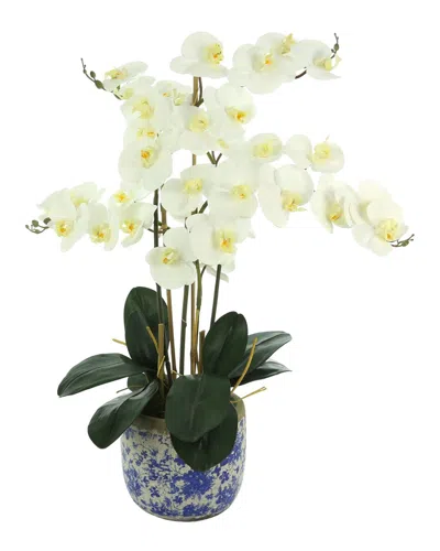 Creative Displays White Orchids Floral Arrangement In Multi
