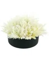 Creative Displays White Pampas Floral Arrangement In White
