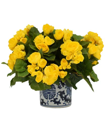 Creative Displays Yellow Begonia Floral Arrangement