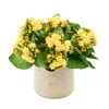 Creative Displays Yellow Kalanchoe Floral Arrangement In Multi