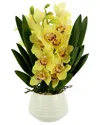 CREATIVE DISPLAYS CREATIVE DISPLAYS YELLOW ORCHID ARRANGEMENT IN WHITE CERAMIC POT