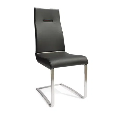 Creative Images Black Dining Chair With Brushed Stainless Steel, Set Of 2