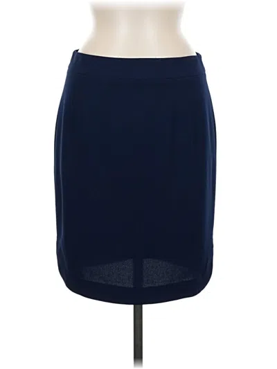 Pre-owned Cremieux Formal Skirt In Blue