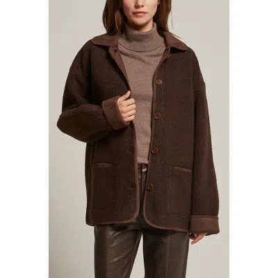 Crescent Contrast Collar Shearling Jacket In Brown