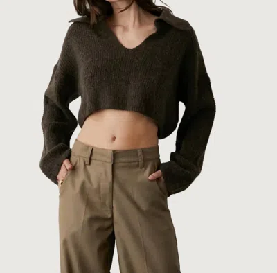 Crescent Devan Polo Sweater In Espresso In Black