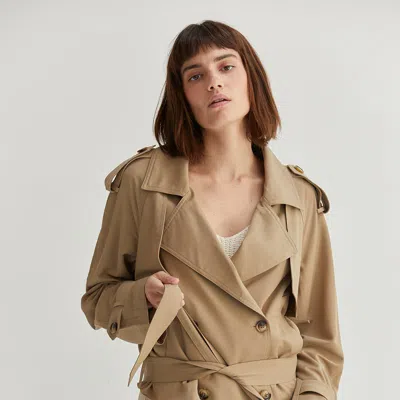 Crescent Reese Trench Jacket In Brown