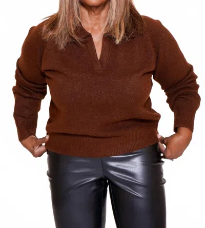 Crescent Robin Polo Sweater In Brown