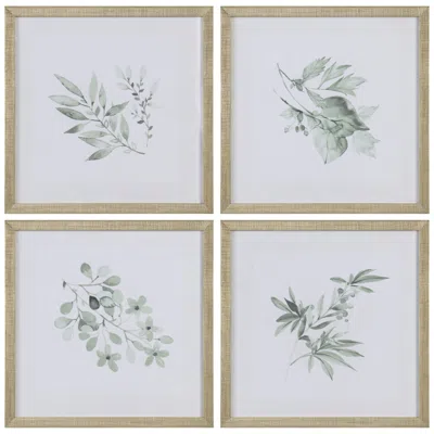 Crestview Collection Sage Foilage Framed Art Set Of 4