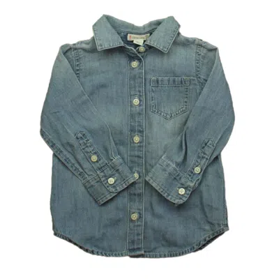 Crewcuts Kids' Boys Blue Button Down Long Sleeve