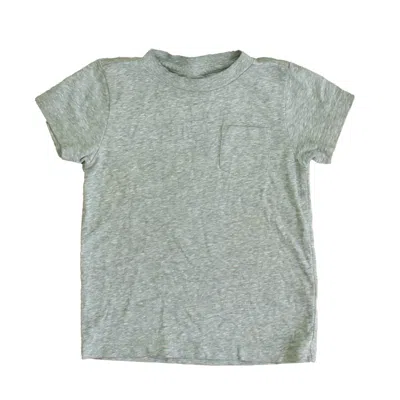 Pre-owned Crewcuts Kids' Boys Gray T-shirt In Grey