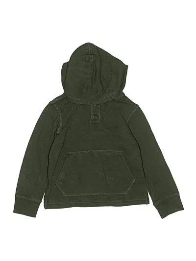 Pre-owned Crewcuts Outlet Kids' Pullover Hoodie In Green