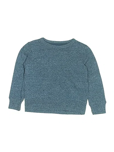 Pre-owned Crewcuts Outlet Kids' Pullover Sweater In Blue