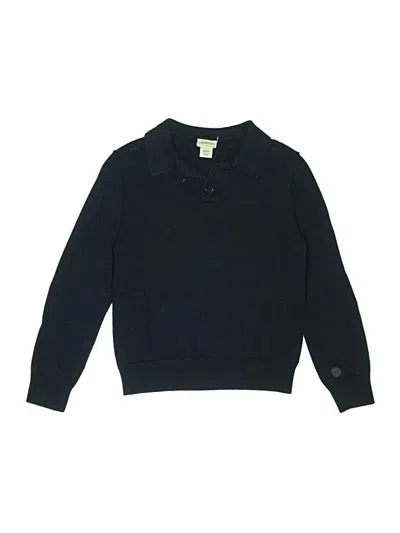 Pre-owned Crewcuts Outlet Kids' Pullover Sweater In Blue