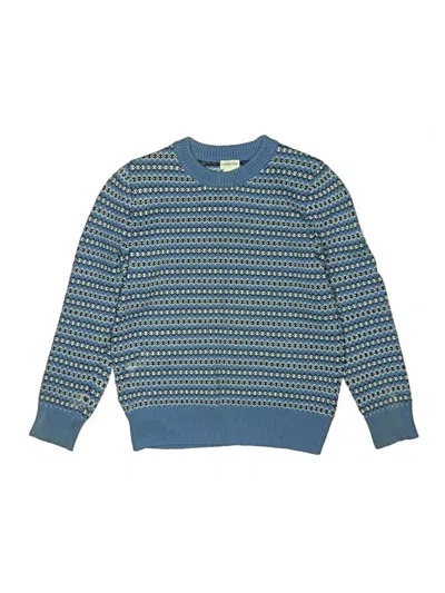 Pre-owned Crewcuts Outlet Kids' Pullover Sweater In Blue