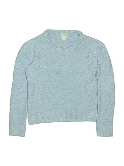Pre-owned Crewcuts Outlet Kids' Pullover Sweater In Blue