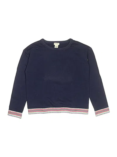 Pre-owned Crewcuts Outlet Kids' Pullover Sweater In Blue