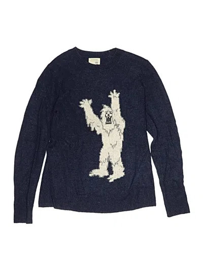 Pre-owned Crewcuts Outlet Kids' Pullover Sweater In Blue