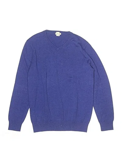 Pre-owned Crewcuts Outlet Kids' Pullover Sweater In Blue