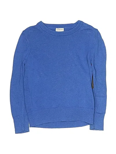 Pre-owned Crewcuts Outlet Kids' Pullover Sweater In Blue