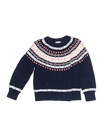 Pre-owned Crewcuts Outlet Kids' Pullover Sweater In Blue