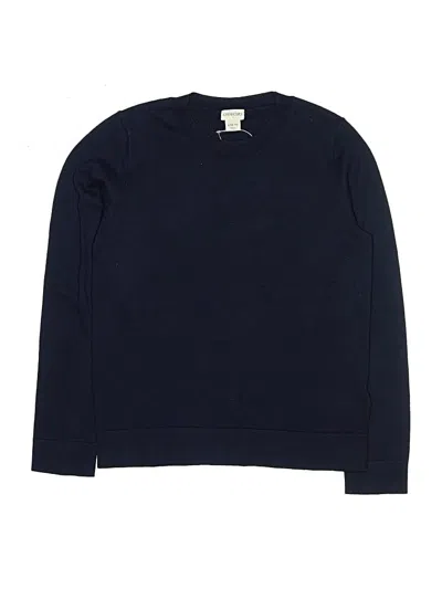 Pre-owned Crewcuts Outlet Kids' Pullover Sweater In Blue