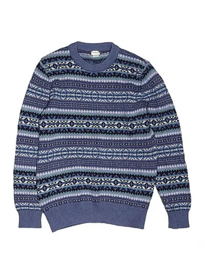 Pre-owned Crewcuts Outlet Kids' Pullover Sweater In Blue