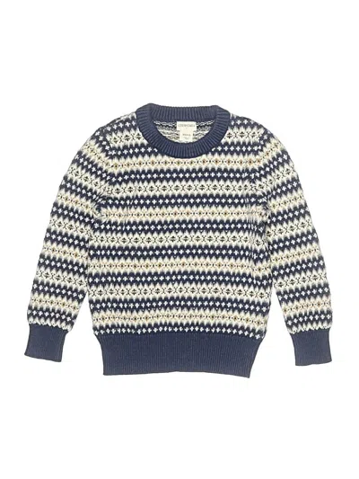 Pre-owned Crewcuts Outlet Kids' Pullover Sweater In Blue