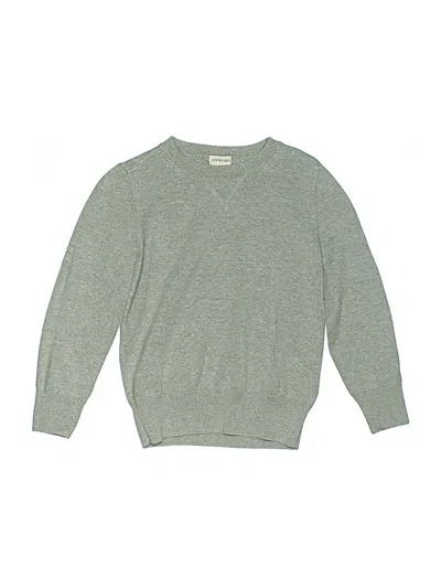 Pre-owned Crewcuts Outlet Kids' Pullover Sweater In Gray