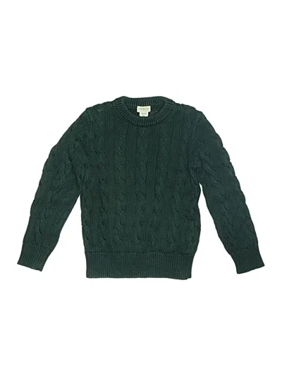 Pre-owned Crewcuts Outlet Kids' Pullover Sweater In Green