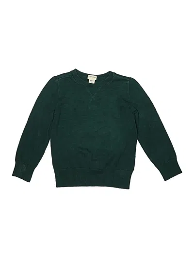 Pre-owned Crewcuts Outlet Kids' Pullover Sweater In Green