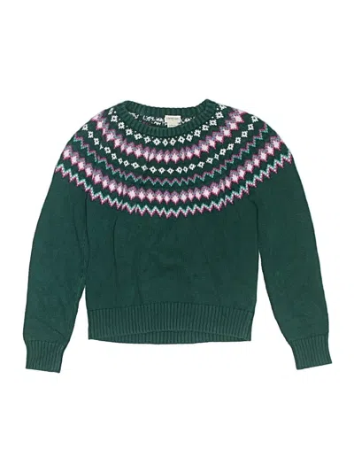 Pre-owned Crewcuts Outlet Kids' Pullover Sweater In Green
