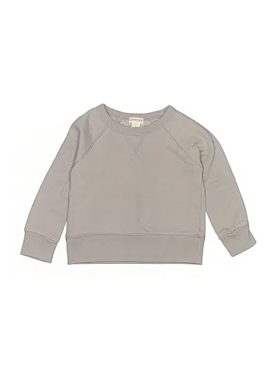 Pre-owned Crewcuts Outlet Kids' Sweatshirt In Gray