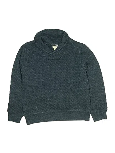 Pre-owned Crewcuts Outlet Kids' Turtleneck Sweater In Teal