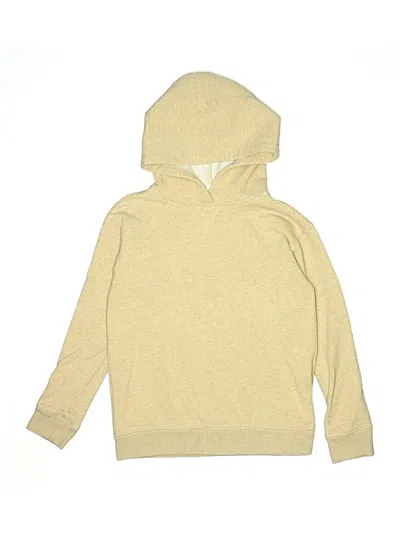 Pre-owned Crewcuts Kids' Pullover Hoodie In Brown