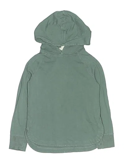 Pre-owned Crewcuts Kids' Pullover Hoodie In Green