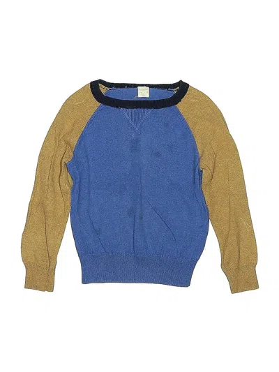 Pre-owned Crewcuts Kids' Pullover Sweater In Blue