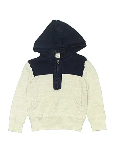 Pre-owned Crewcuts Kids' Pullover Sweater In Blue