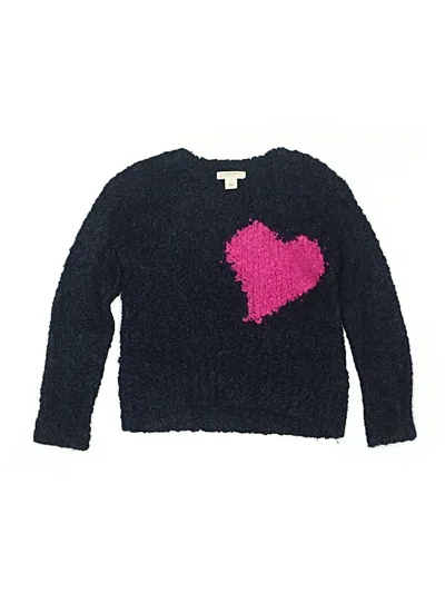 Pre-owned Crewcuts Kids' Pullover Sweater In Blue